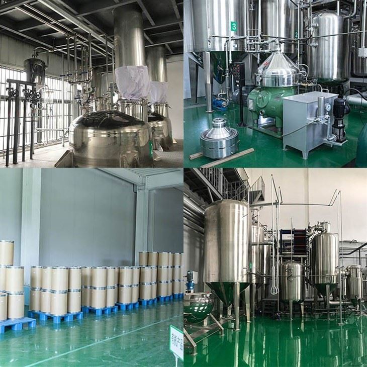 Cistanche Deserticola Extract factory
